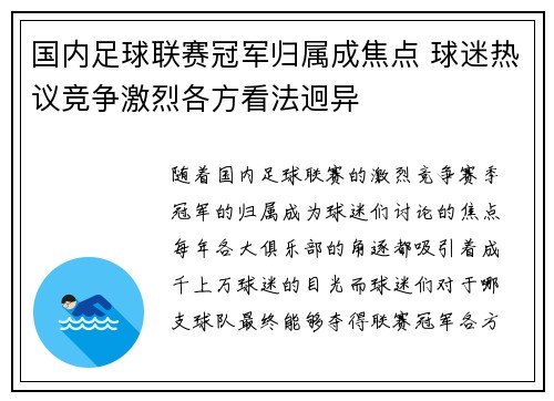 国内足球联赛冠军归属成焦点 球迷热议竞争激烈各方看法迥异