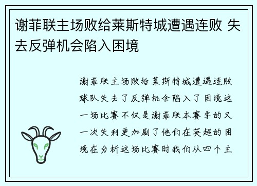 谢菲联主场败给莱斯特城遭遇连败 失去反弹机会陷入困境